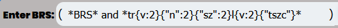 _images/BRS-InputSection.png